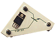Tip31