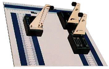 evolus1.jpg (10429 octets)